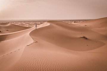 a-dream-trip-to-the-desert